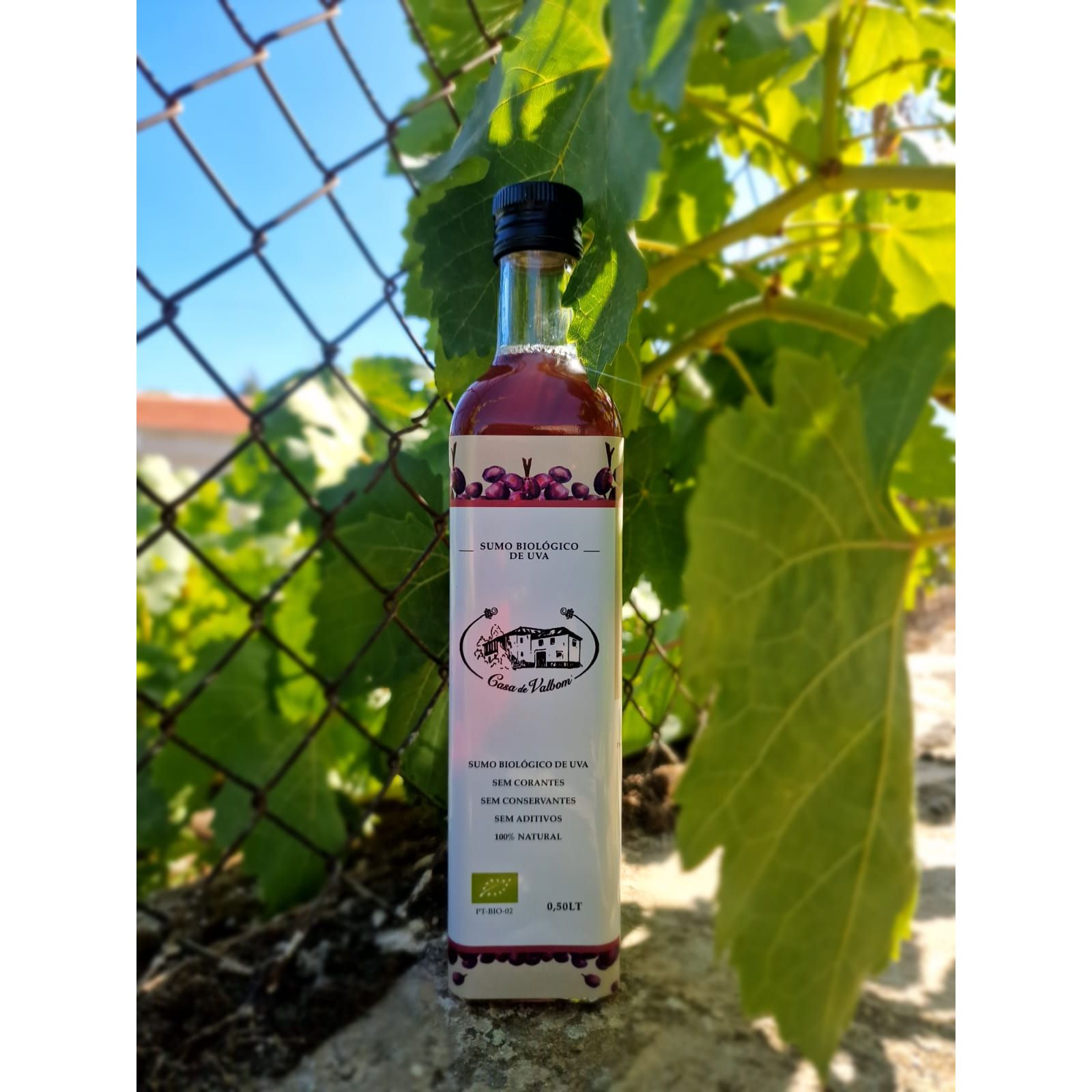 Bio szőlőlé, Casa de Valbom, 500 ml-Casa de Valbom-Sol Deli