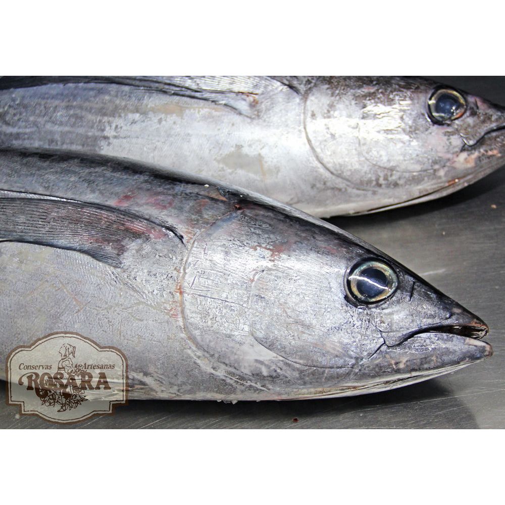 Bonito del Norte tonhalfilé olívaolajban-Conservas Artesanas Rosara-Sol Deli