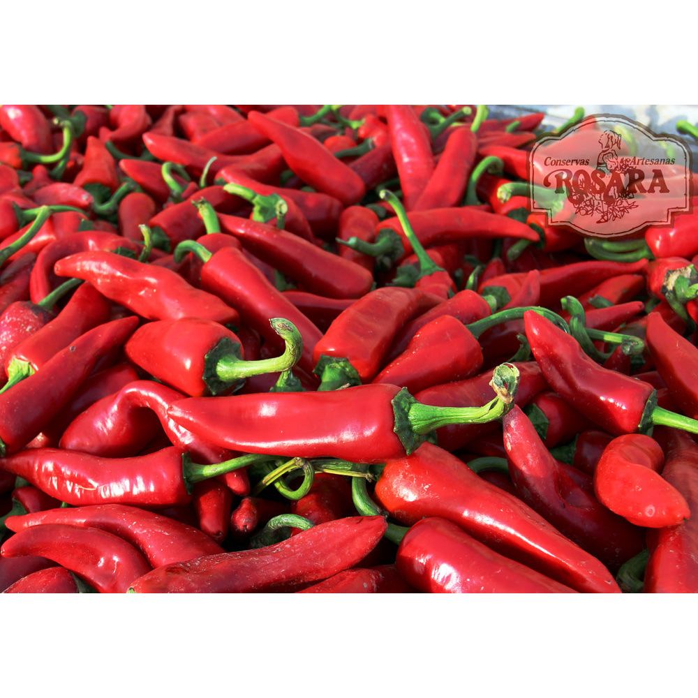 Brava szósz, Rosara, 212 ml-Conservas Artesanas Rosara-Sol Deli