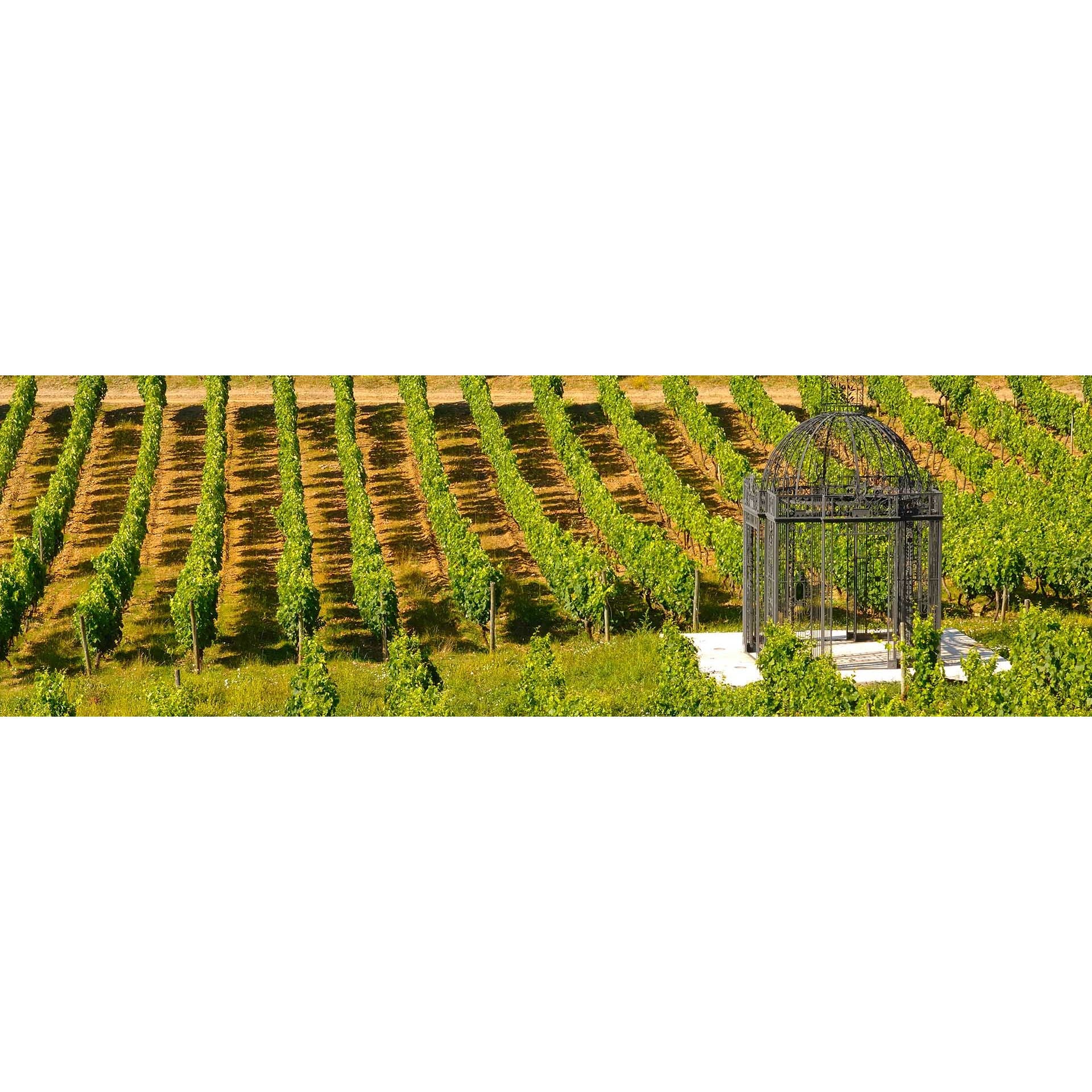 Colheita Tinto, 2021 - Quinta do Portal-Quinta do Portal-Sol Deli