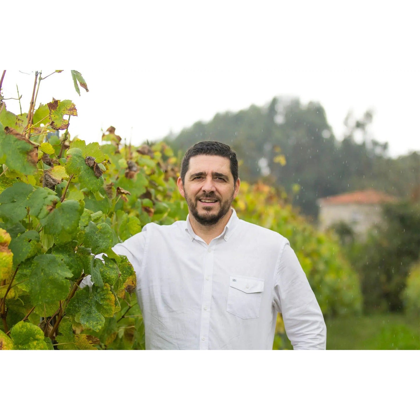 Estreia Vinho Verde 2024-Estreia-Sol Deli