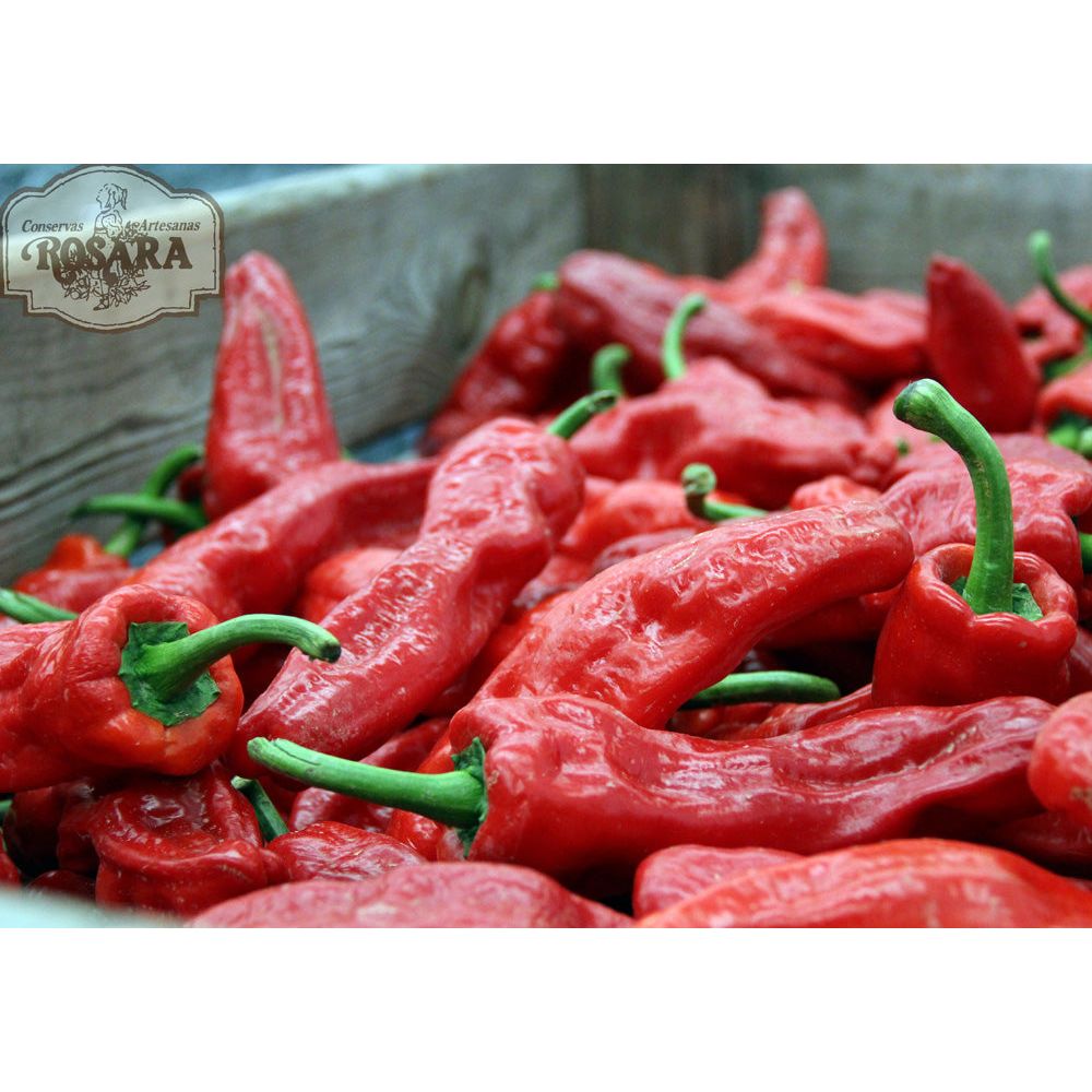 Grillezett Cristal paprika extra szűz olívaolajban, 185 g-Conservas Artesanas Rosara-Sol Deli