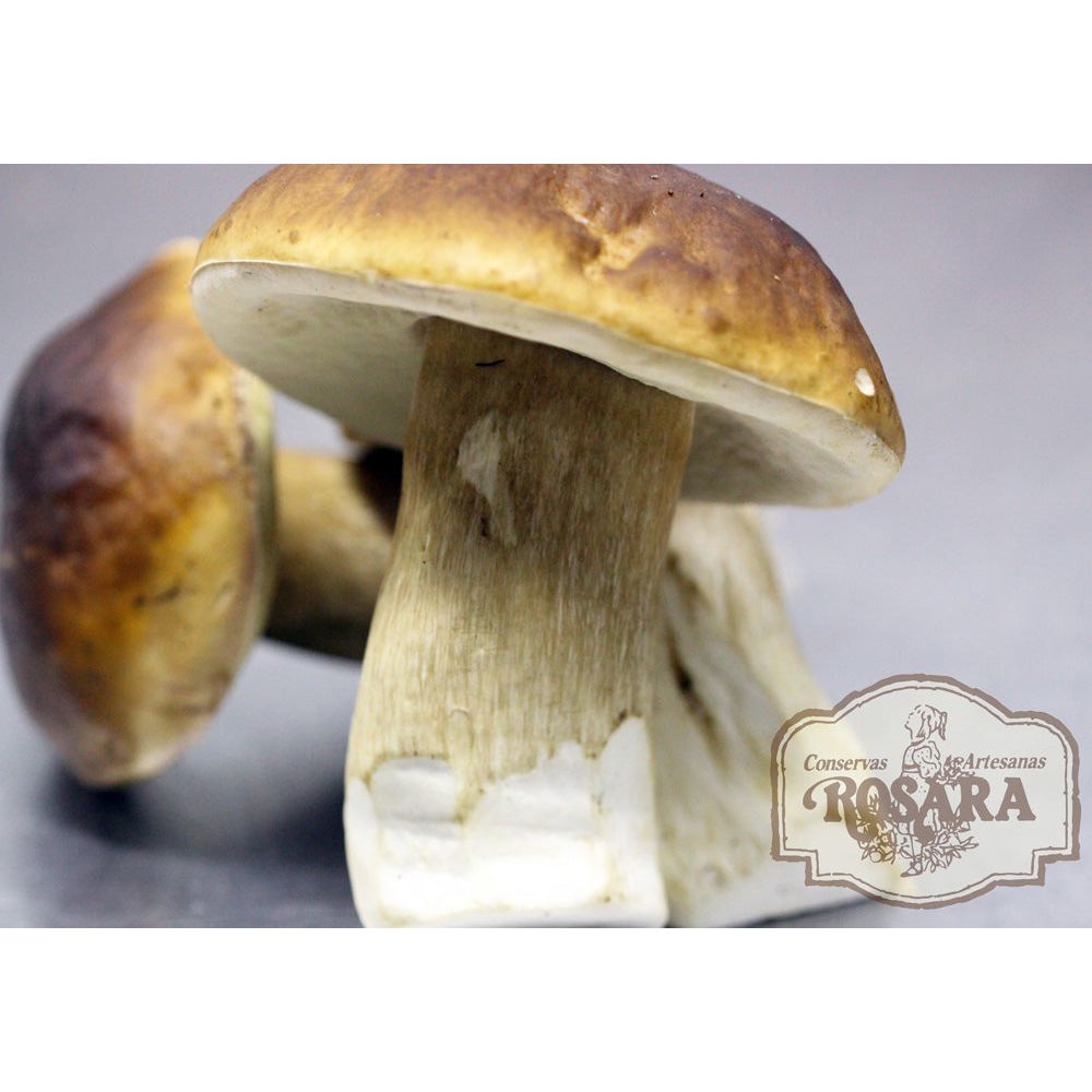 Ízletes vargányakrém szarvasgombával, Rosara, 125 ml-Conservas Artesanas Rosara-Sol Deli