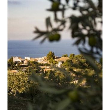 Mandarinlekvár, 220 g-Antica Bottega Siciliana-Sol Deli