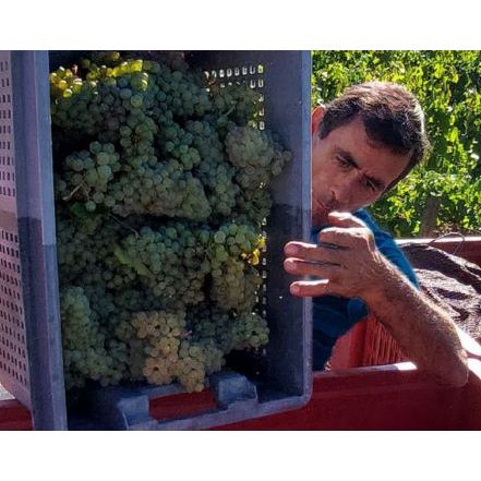 Moscatel Galego Branco 2022, Quinta do Portal-Quinta do Portal-Sol Deli