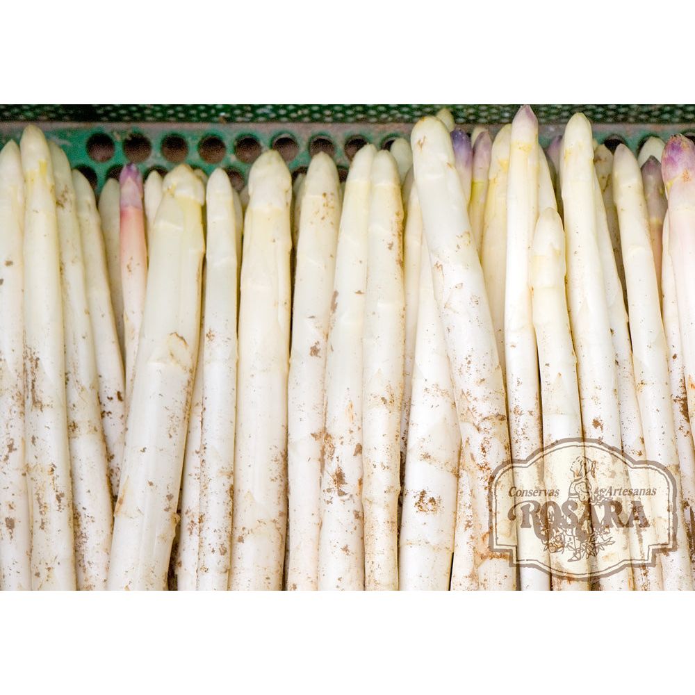 Navarrai spárga, D.O.P, Rosara, 580 ml-Conservas Artesanas Rosara-Sol Deli
