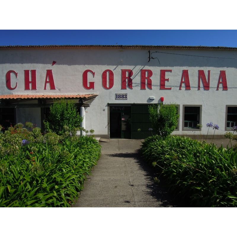 Organikus zöld tea indiai citromfűvel, Gorreana, 80 g-Gorreana-Sol Deli