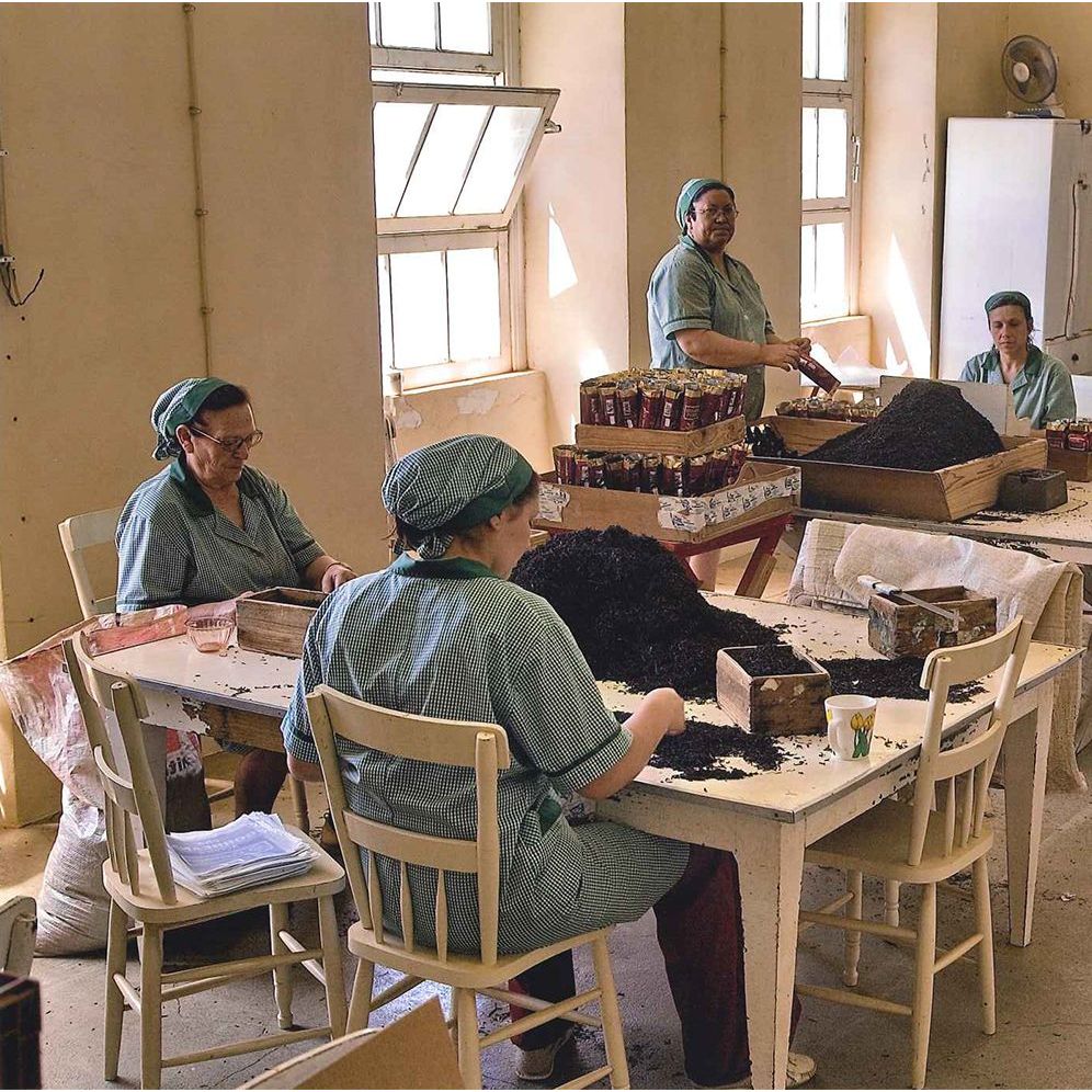 Organius fekete tea borsmentával, Gorreana, 80 g-Gorreana-Sol Deli