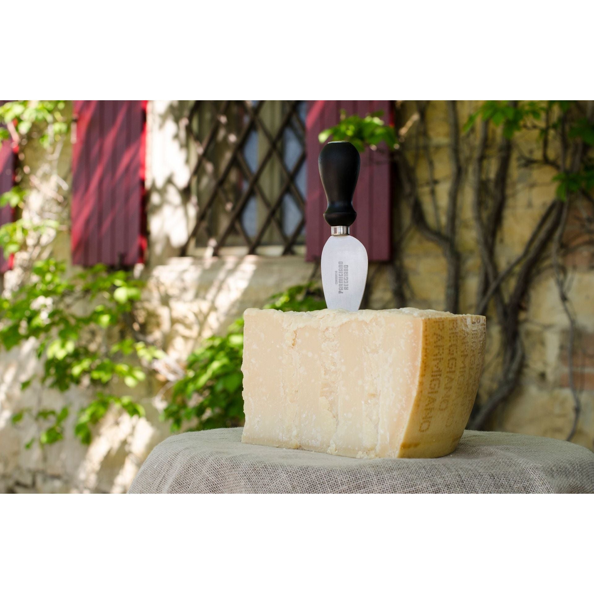 Parmigiano Reggiano sajt, 12 hónapig érlelt-Latteria Nuova Mandrio-Sol Deli