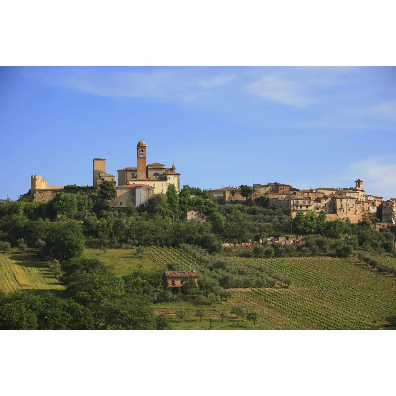 Spenótos fettuccine, Marcozzi di Campofilone, 250 g-Marcozzi di Campofilone-Sol Deli