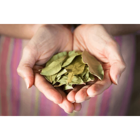 Szárított babérlevél ágak, 40 g-Campos Santos-Sol Deli