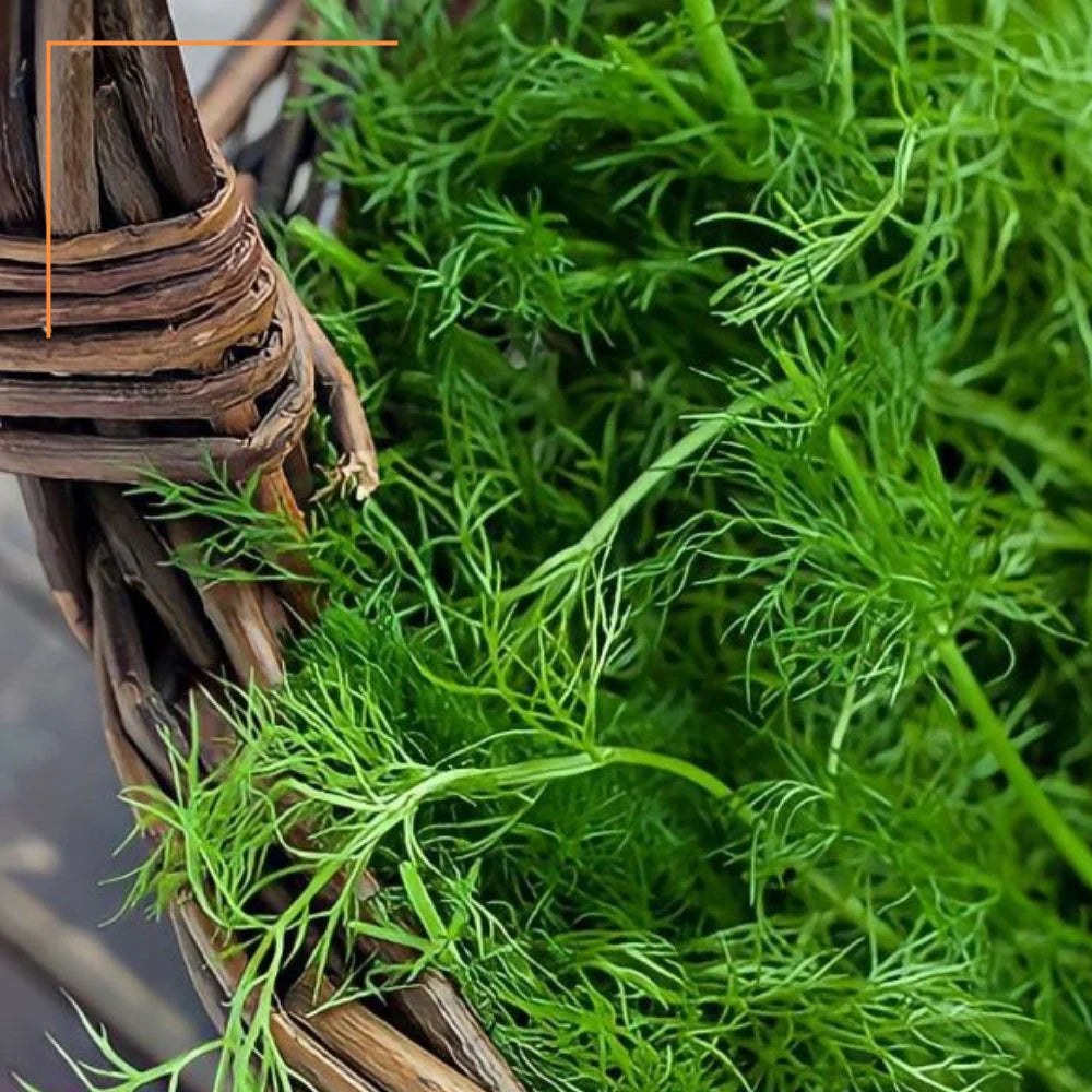 Vad édeskömény pesto, 180 g-Antica Bottega Siciliana-Sol Deli