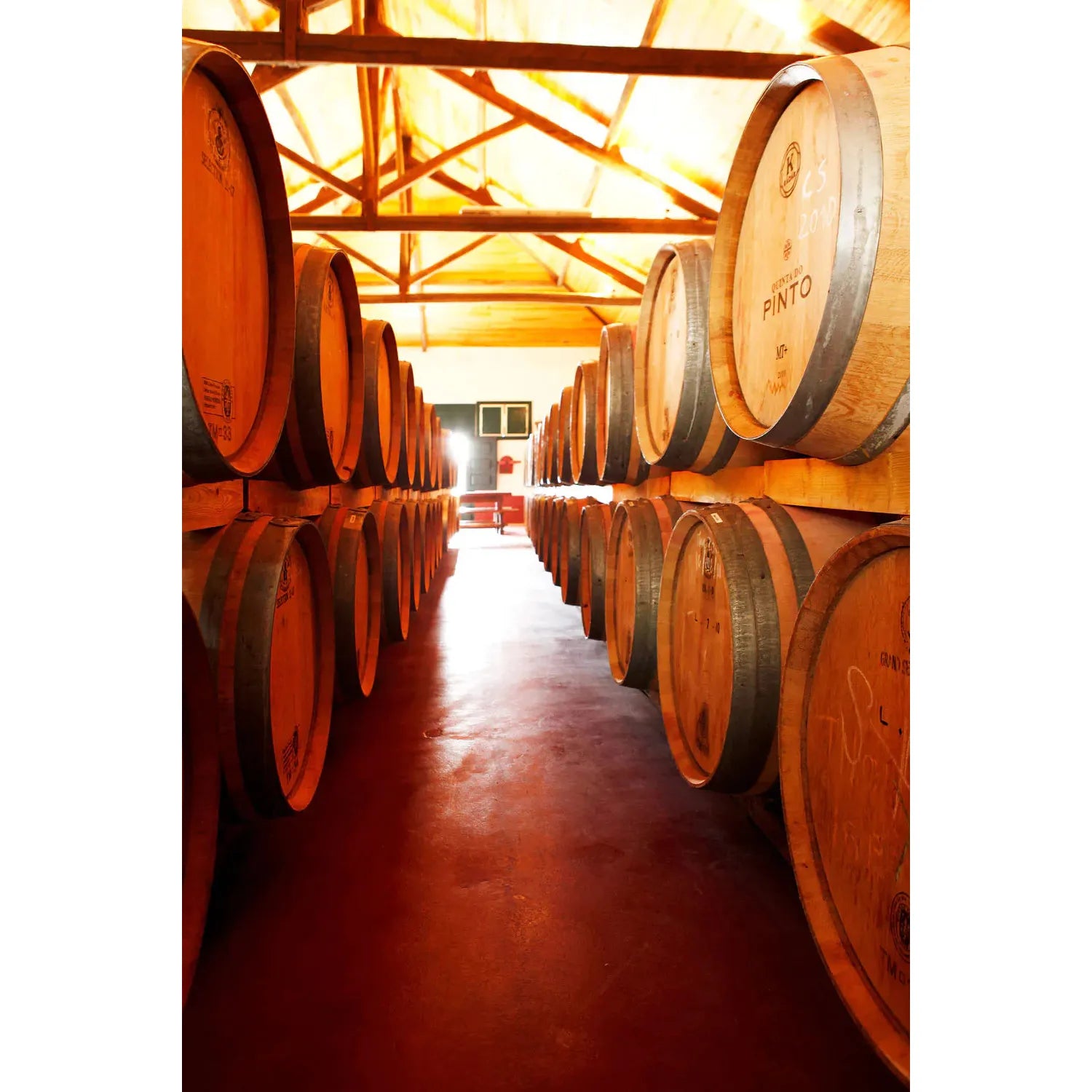 Vinhas do Lasso vörösbor, válogatott szüret 2019, Quinta do Pinto-Quinta do Pinto-Sol Deli