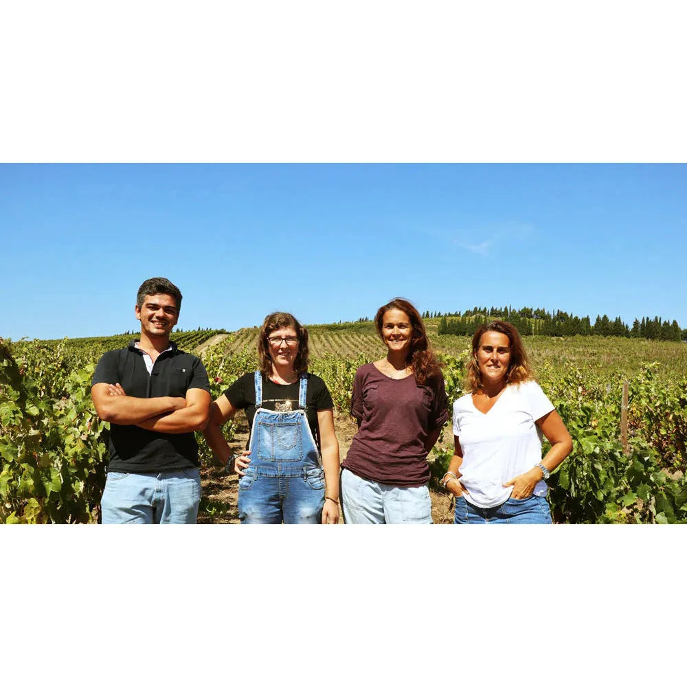 Vinhas do Lasso vörösbor, válogatott szüret 2019, Quinta do Pinto-Quinta do Pinto-Sol Deli