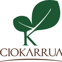 Ciokarrua