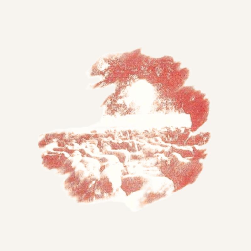 Queijaria Monte da Cegarrega