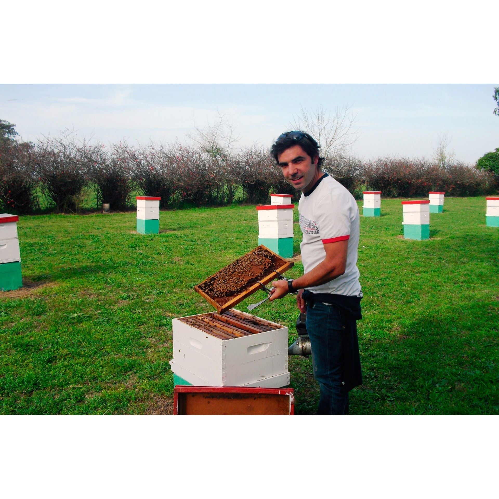 Mel Santa Maria Organic Heather Honey - Sol Deli
