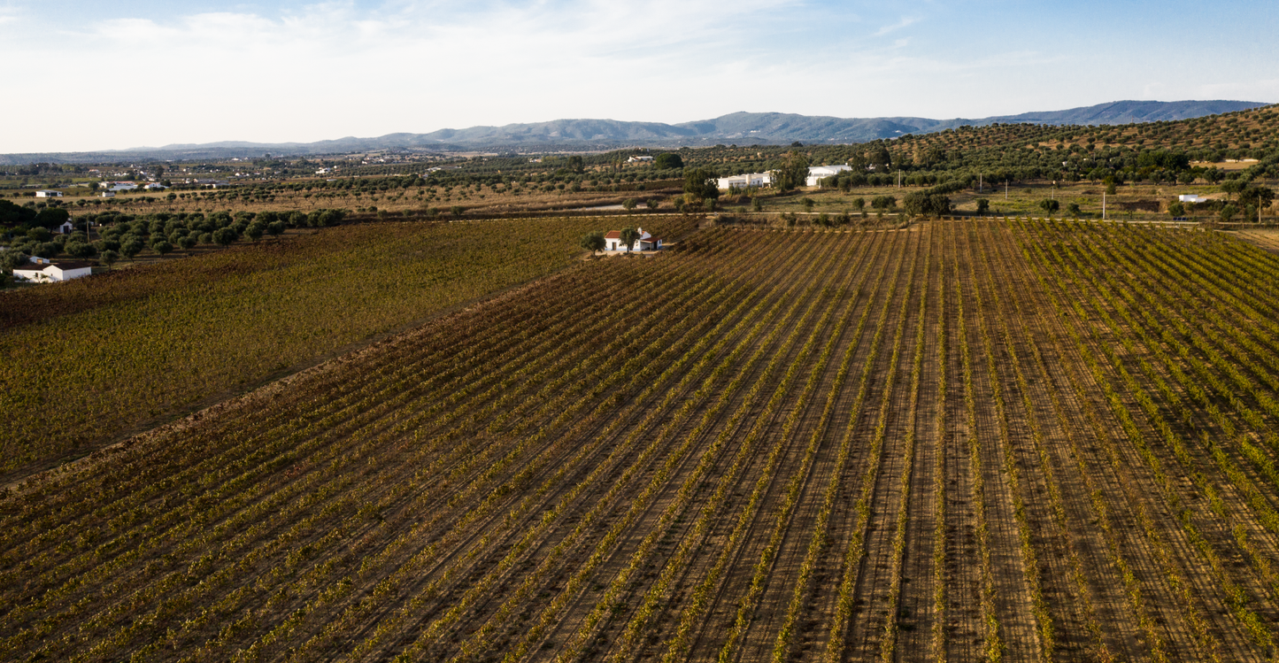 Real Lavrador, Alentejo, vörös, 2024