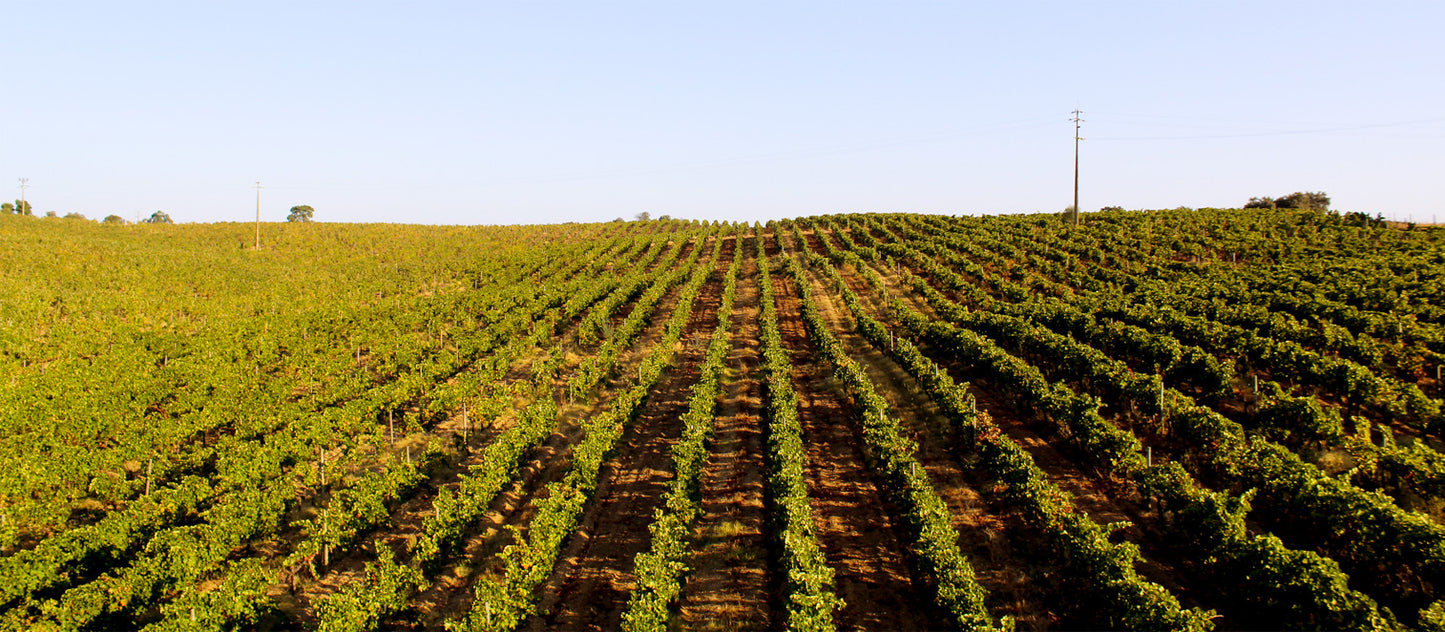 Segredos de São Miguel Reserva, vörös, 2024