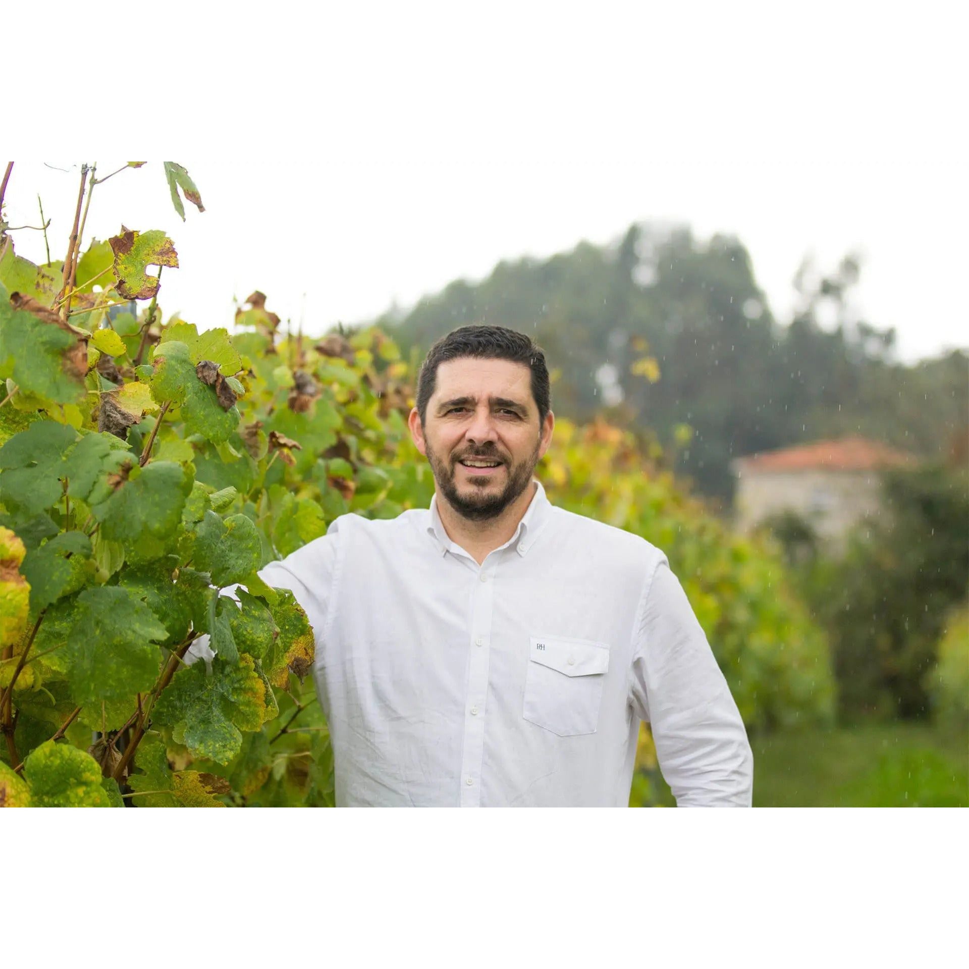 Estreia Vinho Verde 2024-Estreia-Sol Deli