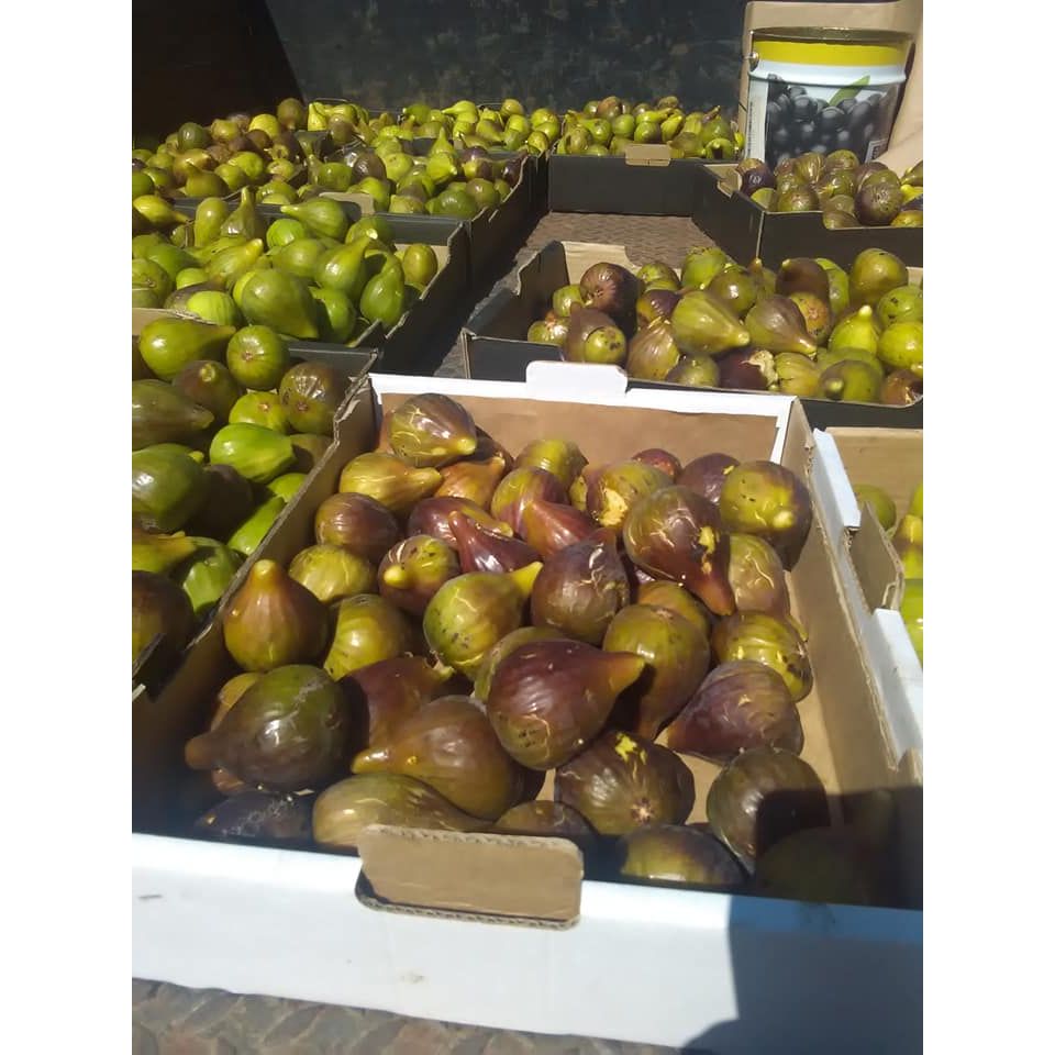 Fügelekvár, Vale do Mestre, 250 g-Vale do Mestre-Sol Deli
