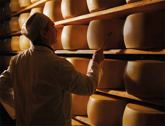 Golosetto – Diós Parmigiano Reggiano sajtkrém, 250 g