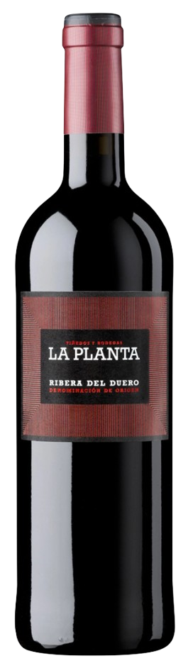 Arzuaga Navarro La Planta vörös, 2023