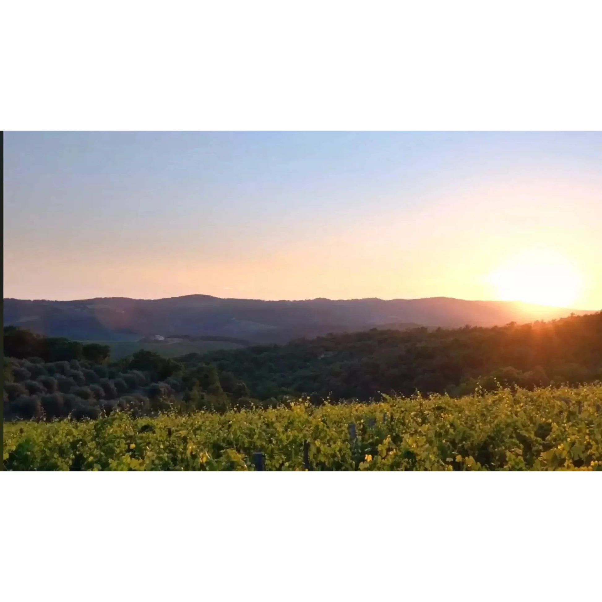 Preso Nero d'Avola DOC 2021, Famiglia Migliore - Sol Deli