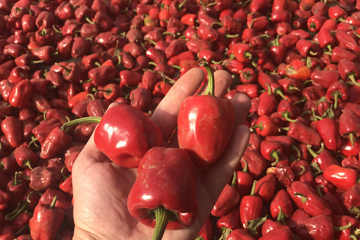 'Nduja il Crespo, 400 g