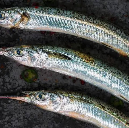 Tűhal (agujas) bio extra szűz olívaolajban, 110g